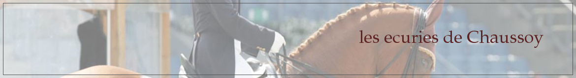 les ecuries de Chaussoy